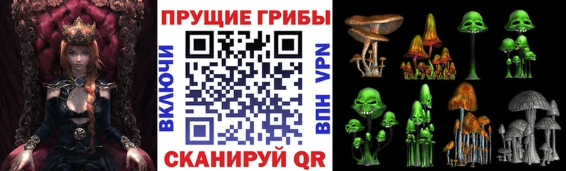 Галлюциногенные грибы Psilocybe  мега онион  Дрезна 